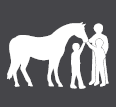 Urban Horse Project
