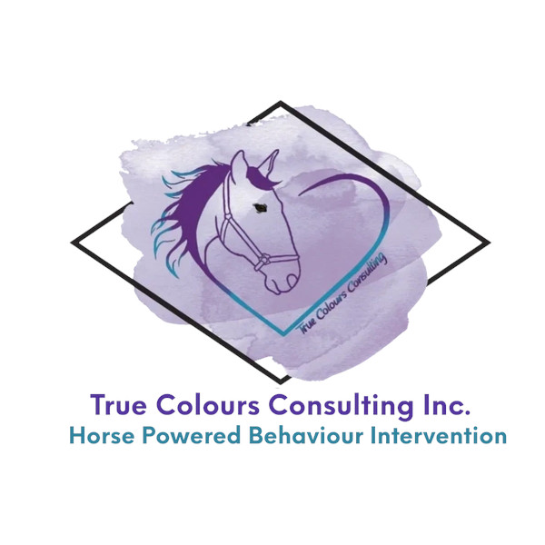True Colours Consulting Inc